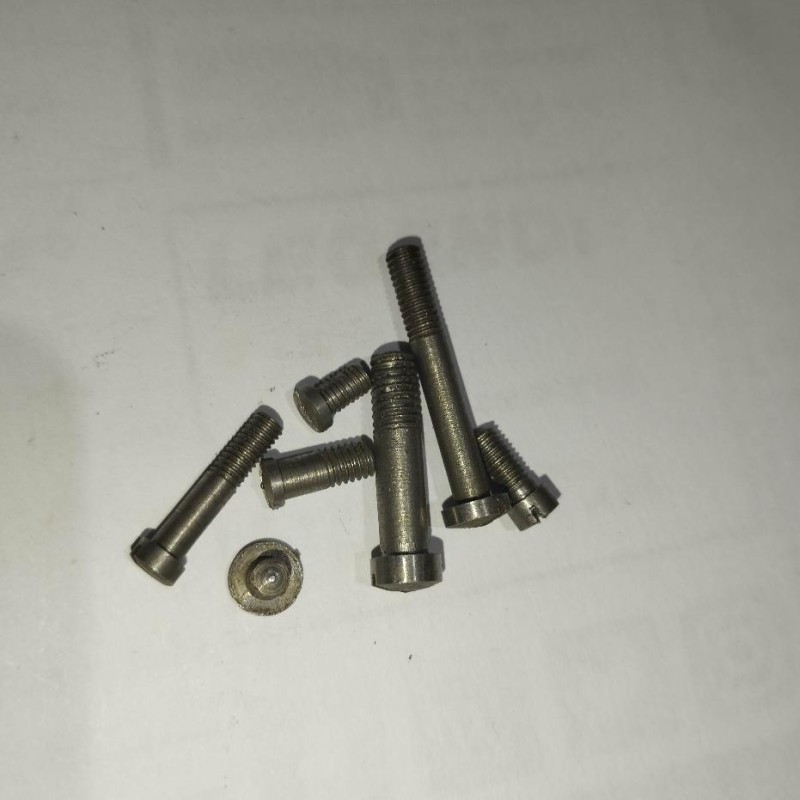 Lot de vis  Rogers and Spencer  Euroarms.