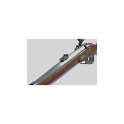 S 183 FUSIL LORENZ INFANTERIE RIFLE TYPE II CALIBRE 54.